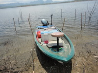 peche au gros poisson chat peche aventure thailand